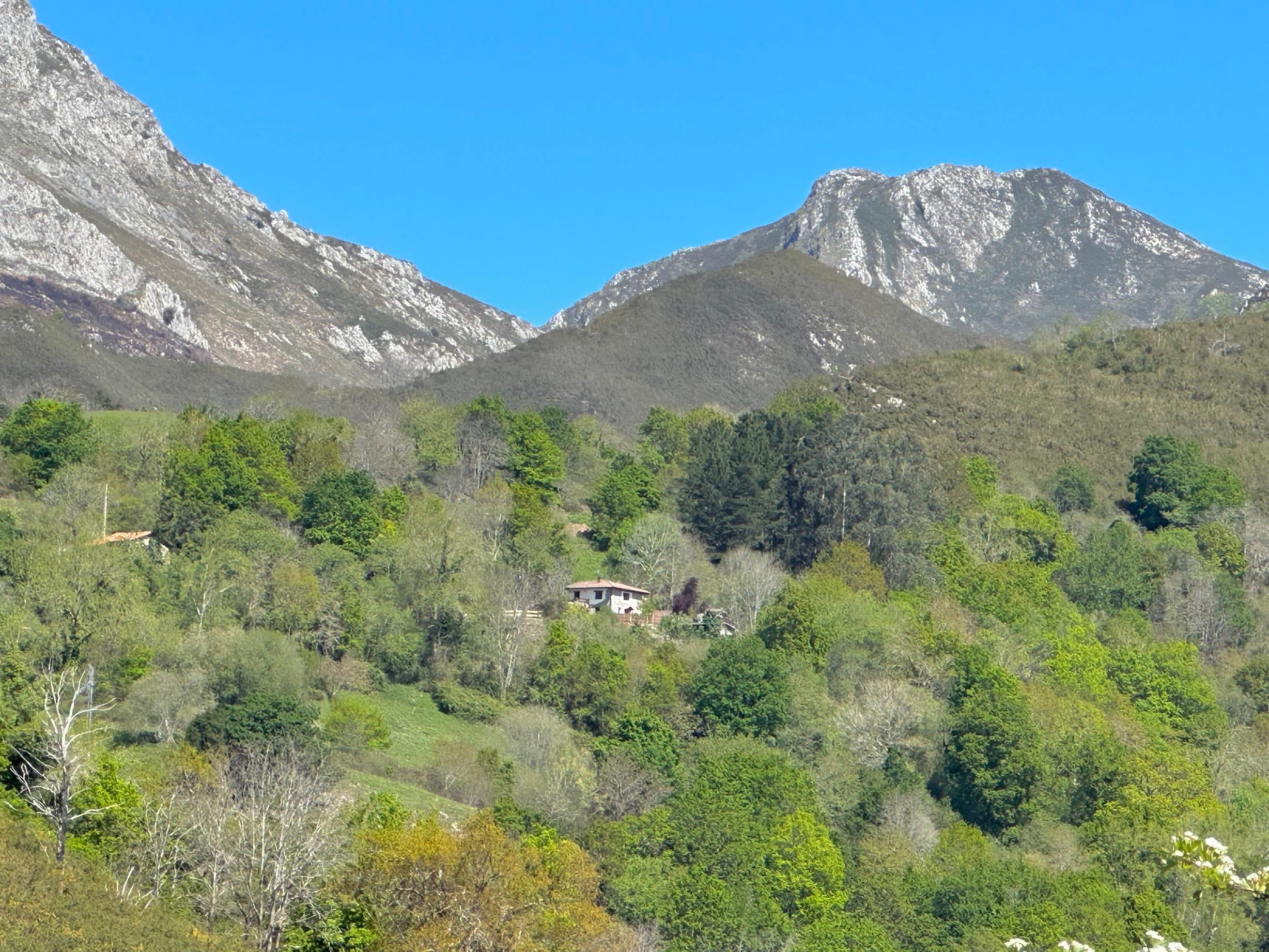 Fuente de la Juventud 3